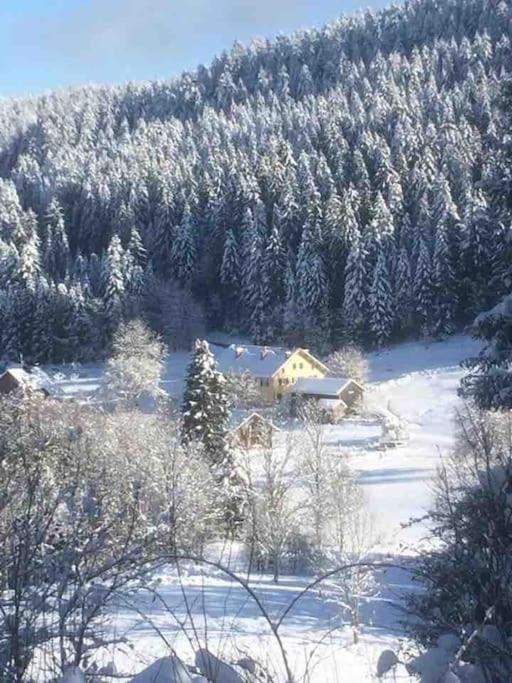 Chalet Cosy Lisiere De Foret Ксонруп-Лонжеме Екстериор снимка